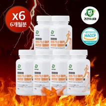 건강수비대 아르기닌 마카 야관문 환 100g 1통, 6통