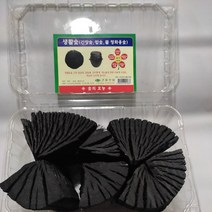 숯 공기정화숯 간장 탈취 생활 참숯_230130EA