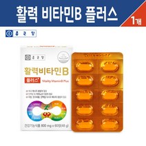 종근당 활력 비타민B 플러스 복합 비타민 B군 60캡슐, 1팩, 활력 비타민B군 플러스 60캡슐