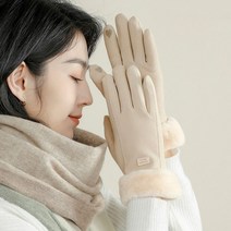 여성 스웨이드 장갑 스마트 폰 터지 방한 기모장갑