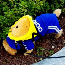 어흥이 강아지하네스 백팩 배낭 목줄 (S/M/L), 하늘어흥이=L