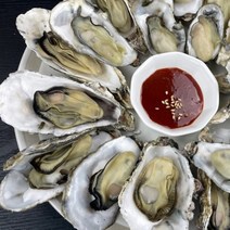 통영 프리미엄 신선 하프쉘 1.5kg 30미내외 통영굴 반각굴, 1.5kg (30미 내외)