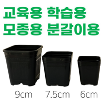 <국내생산> 삽목화분 플분 사각화분 6cm 7.5cm 9cm 검정화분 다육화분 모종화분 교육용화분 학습용화분 분갈이화분” class=”wr-img”></a></div></div></div></div><div class=