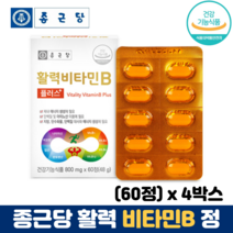 종근당 비타민B 정 비타민B1 비타민B2 비타민B군 비오틴 엽산 식약처인증 비타민비, 4박스, 60정