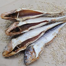오징어군땅콩양 보리굴비 영광 법성포 왕특대 부세 내장제거 손질 (개별진공) 대 30cm이상부터 가정용, 5마리, 왕왕대대34cm이내