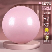 짐볼 필라테스 볼 요가 쉐이핑 피트니스 체조 스위스 어린이용 밸런스 25Cm 공장 직판, 09 55Cmyogaballpowderwi