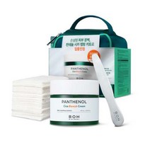 바이오힐보 판테놀시카 블레미쉬 크림 100ml 대용량 기획 (랩핑키트 증정), 1개