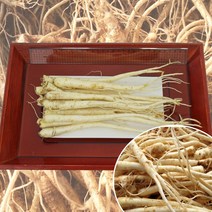 청정 영주소백산도라지 흙/세척/깐도라지 산지직송, 1개, 세척나물도라지 상품_750g