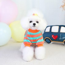 강아지 수면잠옷 반팔티셔츠 S-XXL, 파란색