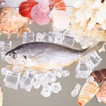 영광굴비 진공포장 2호(30미19cm내외2.1kg내외), 1