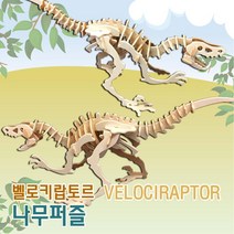 벨로키랍토르 우드퍼즐 공룡 뼈 피규어 연구 초등 과학 맞추기 교재 탐구 수업, 상세페이지참조