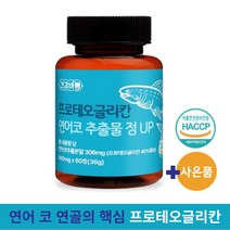 식약처 인증 프로테오글리칸 연어코 추출물 정 UP 구절초 보스웰리아 (알약케이스 사은품), 6통, 60정