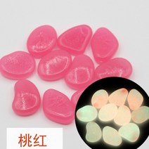 비바리움식물 이끼 테라리움이끼 재료 생이끼 양지이끼 서리이끼 비단이끼 천연이끼 203050100200pcs 물고기 탱크 장식 수족관 장식품 돌 정원 장식에 대 한 어두운 빛나는, 2, 200개