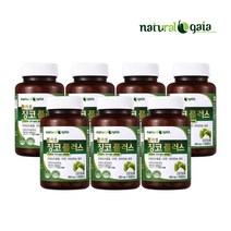 트리플 징코 플러스 60정 7박스 은행잎 영양제