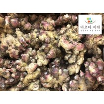 바르다야채 22년 국내산 햇생강 1kg 3kg 5kg 10kg