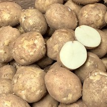 강원도 감자 알감자 찜 요리용, 대<찜용>(80~120g), 1박스, 3kg” class=”wr-img”></a></div>
</p></div>
</p></div>
</p></div>
<div class=