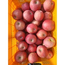 산지식송 가을사과부사 봉화사과 1박스10kg 직접농사짓고 바로보내요, 사과 1박스10kg 40과~48과