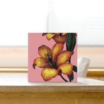 [천삼백케이] [그래픽아트 휴] 미니안드라(15x15cm), C
