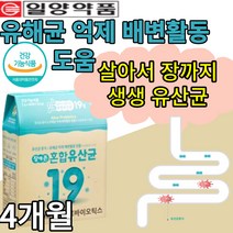 우유 공복 요구르트 타먹는 유산균 프로바이오틱스 장에존 혼합 유신균 락토바실러스 가세리 17 람노서스 퍼멘튬 루테리 2000억 cfu 비피도 박테리움 롱검 유아 임산부 수유부 키즈, 4개월(2박스)