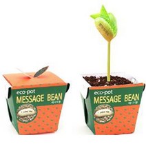 일음쇼핑^^*m에코팟 메시지콩 식물 키우기 새싹재배 채소키우기 베란다텃밭 꽃키우기 테라스 키트 미니화분 책상 옥상 실내 씨앗선물 기르기일medi^*^, ab*^^선택없는