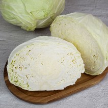 기찬꾸러미농산물 국내산 양배추 1통(2kg 내외)