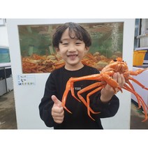 동해안 후포항 프리미엄 박달 홍게 대게 / 산지직송 생물 자숙(찜), 정품 박달홍게 5마리 (2kg), 자숙(찜)비용 무료