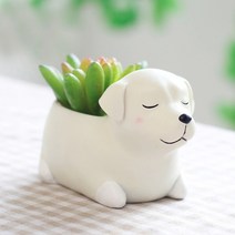ROOGO 루고 화분 잠자는 강아지 리트리버