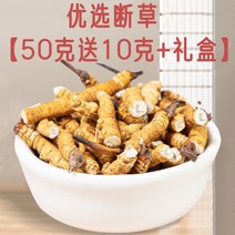 동충하초 정품 순수 티베트 통통 건강식품 한방 재료, 10g에 50g + 선물박스