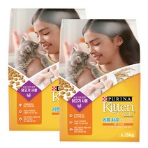 친절한도그씨 퓨리나 키튼차우 6.35kg x 2팩 고양이사료, 단품