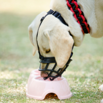 강아지 입마개 중형견 대형견 진돗개 리트리버 말티즈 맹견 애완견 실리콘, 1사이즈