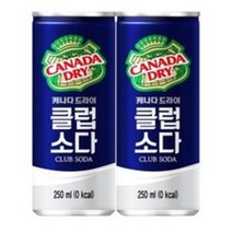 캐나다드라이 클럽소다250ml 30개, 250ml