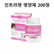 강아지 장 설사 피모 건강 인트라젠 영양제 200정 강아지유산균, 상세페이지 참조, 상세페이지 참조, 상세페이지 참조