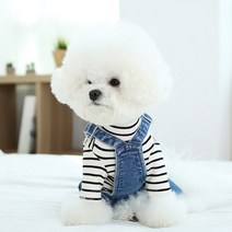 레어밍스 강아지 데님 멜빵 팬츠, 블루