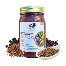 Healthy 허브 Great Health Matters 세인트루시아 골드 유기농 시모스 바다 이끼 미네랄 젤, Elderberry/ Bladderwrack/ Burd
