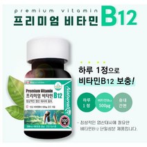 프리미엄 비타민비12 엽산대사 비타민B군 비타민B12, 1000개, 90정(3개월) x 2개