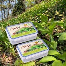 산지직송 울릉도 명이생채 산마늘 명이나물 절임 800g, 1세트