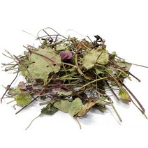 천년약초 제주도 참가시나무잎 300g 1개 금전초 150g 1개 택 1, 1팩, 금전초150g