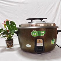 실꼬리돔 코너 상업용 초대용량 밥솥장 가정용 식당 대형전기밥솥, T20-국표 3500W-28L 북 청동색
