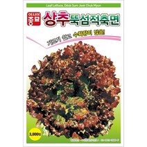 뚝섬적축면상추 3000립 상추씨 두리 씨앗 아시아종묘