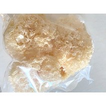 흰목이버섯 건조버섯 1kg 대용량 백목이 은이버섯 꽃송이버섯 비타민D효능 목이버섯 건조목이버섯 흰버섯 바른건강흰목이버섯, 건조 1kg 포장, 1개