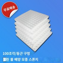 수경 재배 스펀지 그로우폼 홈 가드닝 무토 재배 설비 채소 새싹 야채 재료 용품, 둥근구멍육묘스펀지화이트:100타공(5장)개