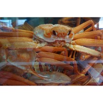 울진대게 후포리 홍게 대게, 7~11마리, 3kg 내외 (7~11마리), 2kg 내외 (5~7마리)