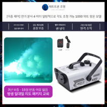 안개기계 에어 포그 무대 장치 스모그 기계 연기 발생기 미스트폴 효과 피톤치드 차량용, 듀얼컨트롤 1000w(분사4m) + 오일 2병