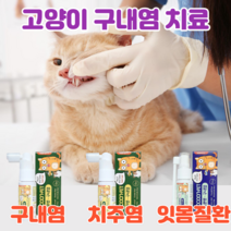 이지캣 고양이 구내염약 구내염 치주염 치은염 잇몸염증 바르는 젤 구강 영양제, 기본형 스프레이