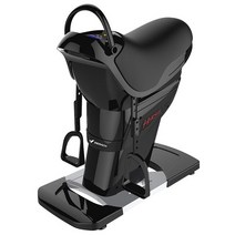 가정용 기계 승마 피트니스 장비 허리 운동, 01 Black, Black