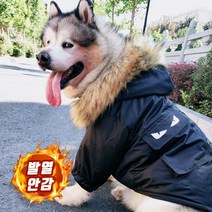 겨울 한파 후드 강아지 패딩 소형견 중형견 대형견 맞춤 사이즈 캐주얼 올인원 따듯한 실외견 실내견 외출 애견 의류 반려동물 용품 옷
