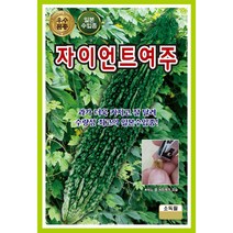 자이언트여주 여주씨앗 10립 KS종묘 23년