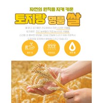 100% 국내산 진도 유색미(녹미 홍미) 20kg, 홍미20kg
