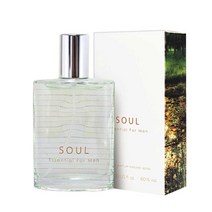 {뷰티코스모아}더페이스샵 소울 향수_에센셜 포맨_남성용향수, 에센셜 포 맨 30ml