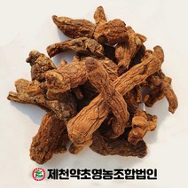 국산 둥굴레 (볶은 황정) 500g 제천약초영농조합, 1개